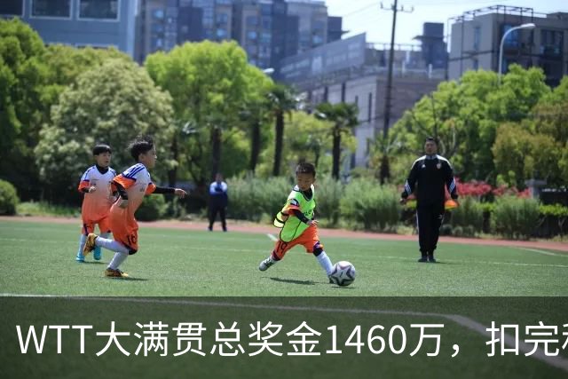 WTT大满贯总奖金1460万，扣完税费团队成本，王曼昱到手剩多少？